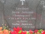 Jens Jensen.JPG
